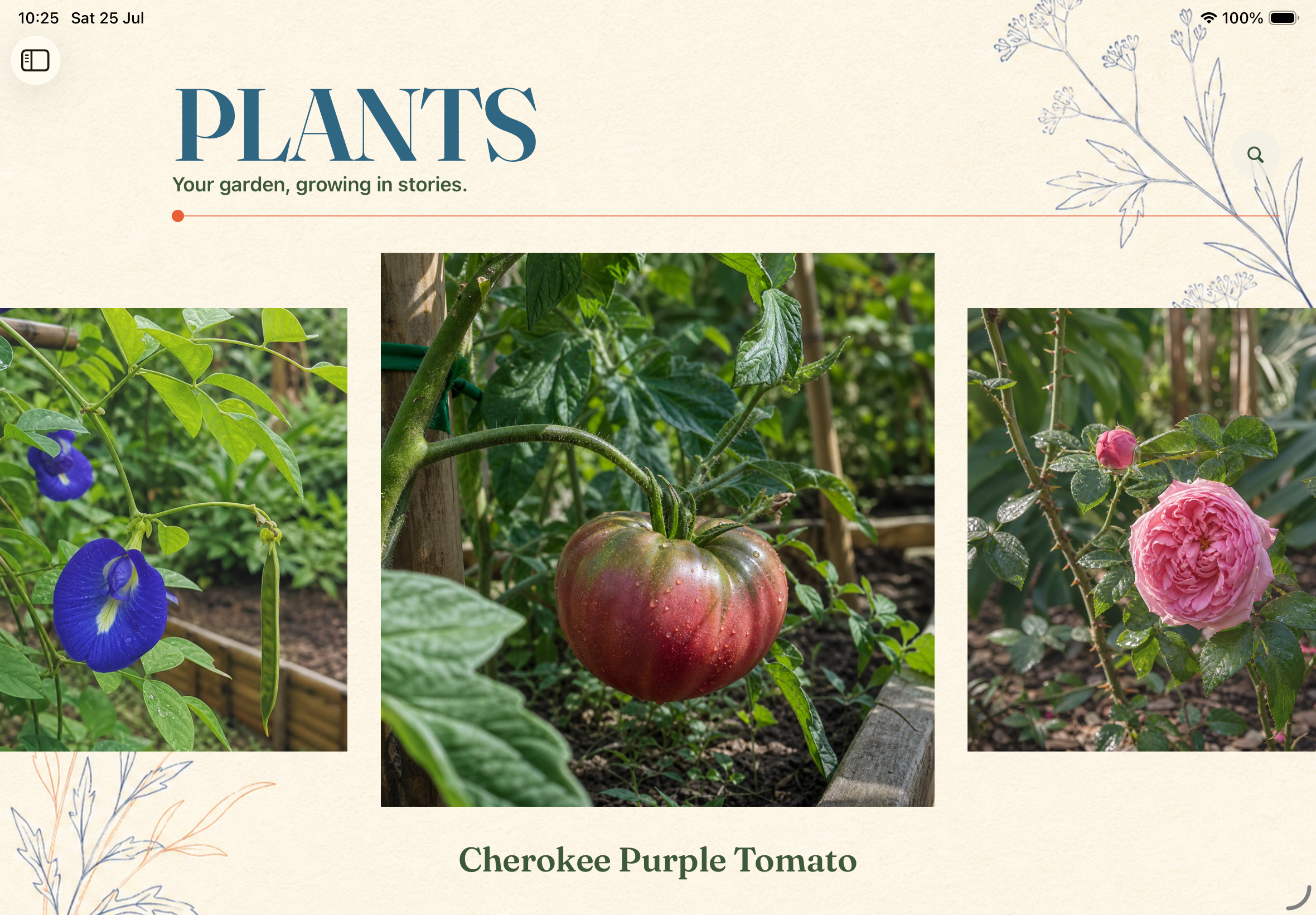 Sow Plants journal with Cherokee Purple Tomato on iPad
