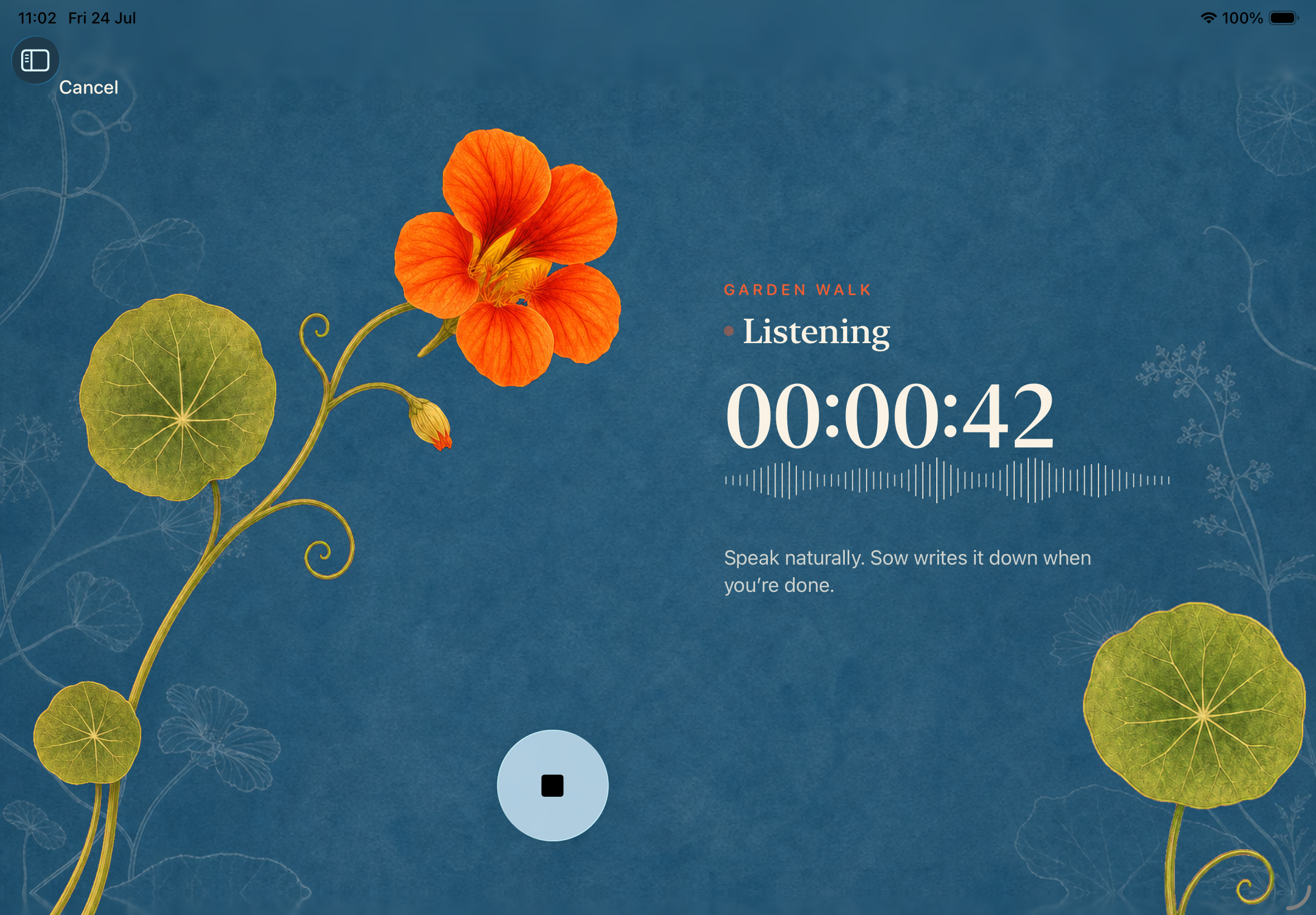 Sow listening during a Garden Walk on iPad